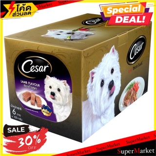 ✨ขายดี✨ ซีซาร์ อาหารสุนัข รสแกะ 100กรัม x 6 ถาด Cesar Lamb Flavour Dog Food 100g x 6pcs