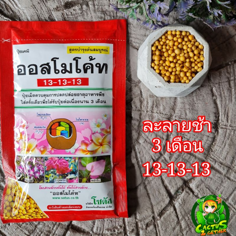 ปุ๋ยออสโมโค้ท สูตรเสมอ13-13-13 ละลายช้า3เดือนเม็ดสีเหลืองขนาด100กรัม