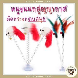 หนูสปริง ขนนกสปริง ติดกระจก ของเล่นแมว