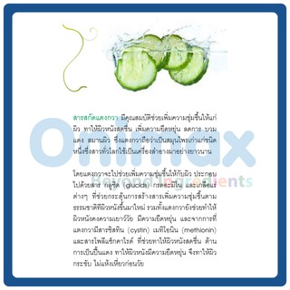 สารสกัด แตงกวา Cucumber extract 1,000ml.