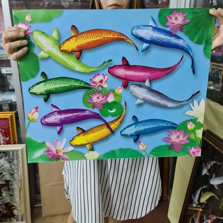 ภาพเปล่า ปลาคราฟ 9ตัว ดอกบัว  ขนาด 16x20 นิ้ว (40x50ซม.) ภาพคมชัด ไม่แตกเบลอ สีสวย สีสด