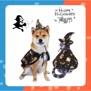 [🚚 พร้อมส่ง] Halloween Wizard Set ชุดแมว ฮาโลวีน ชุดแฟนซีแมว