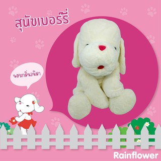 🤍💗 สุนัขเบอร์รี่ สุดคิ้วท์  มีกลิ่นหอม แบรนด์ Rainflower