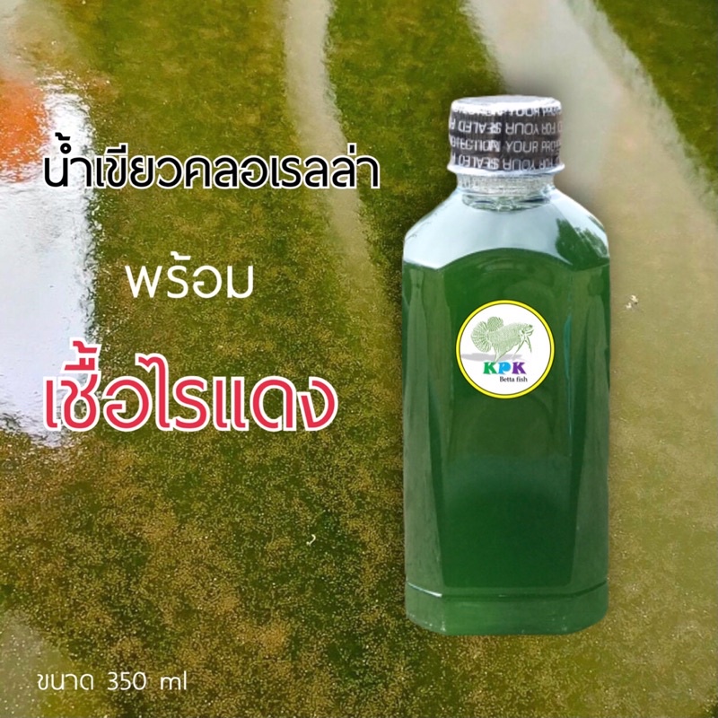 KPK น้ำเขียวไรแดง พร้อมพันธุ์ไรแดง (แพ็คคู่เชื้อไร+น้ำเขียว)