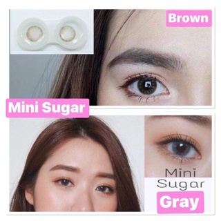 🧁Mini sugar brown/Gray🧁สายตาปกติถึง-5.00(kitty kawaii)