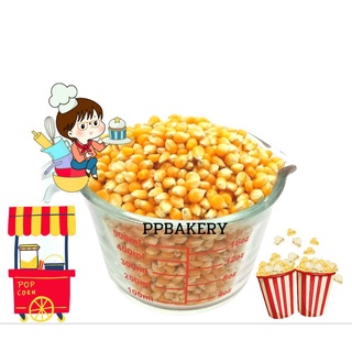 เมล็ดข้าวโพดพันธุ์ มัชรูม Popcorn Mushroom 1กก