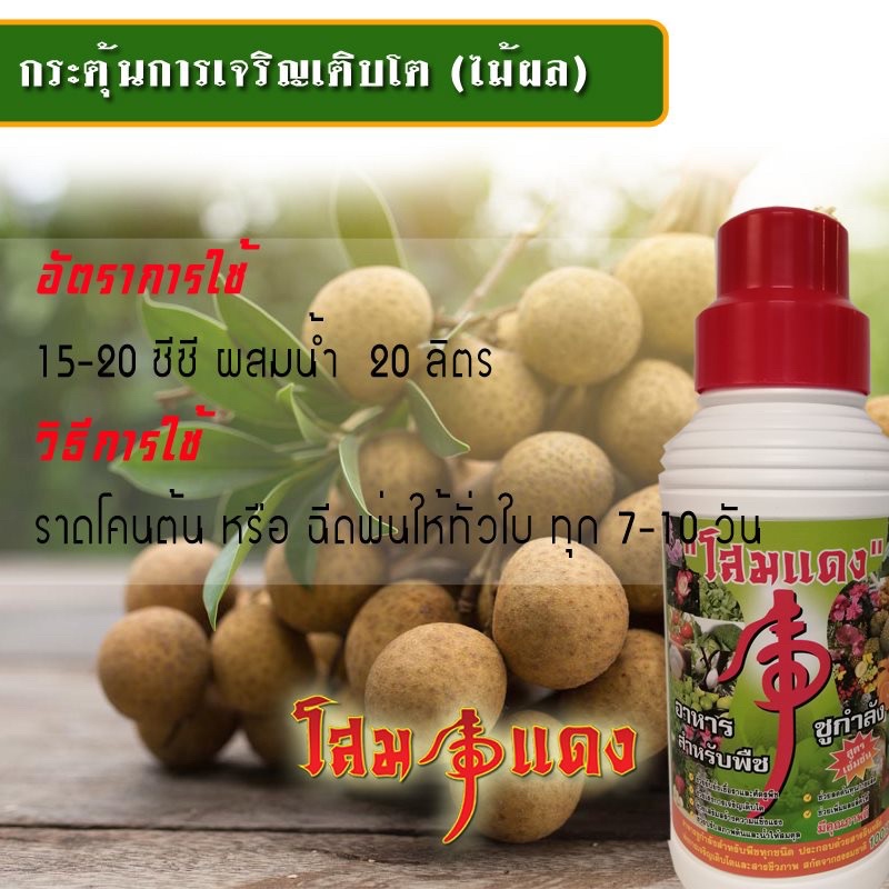 โสมเเดง อาหารชูกำลังพืช