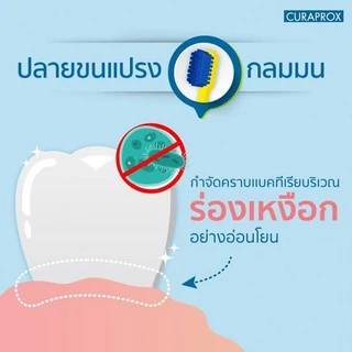 แปรงสีฟันทั่วไป CURAPROX CS 5460