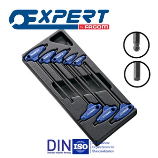 Expert ชุดถาดประแจแอล (ตัวที) T-Handle 8 ชิ้น (E121201)