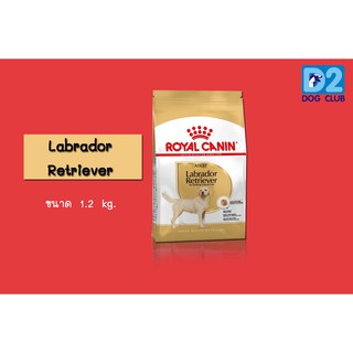 Royal Canin Adult Labrador Dry Dog Food อาหารสุนัข พันธุ์ลาบาดอร์ แบบเม็ด ขนาด 12 กก. 715645