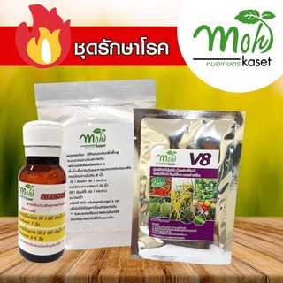 ชุดรักษาโรคเชื้อรา - ดินยิ้ม ชุดรักษาโรค 3 in 1