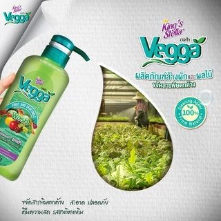 King's Stella (คิงส์สเตลล่า) Vegga เวจก้า น้ำยาล้างผักผลไม้ สูตรธรรมชาติ กำจัดไข่พยาธิ ล้างสารพิษตกค้างได้ถึง 95-99%