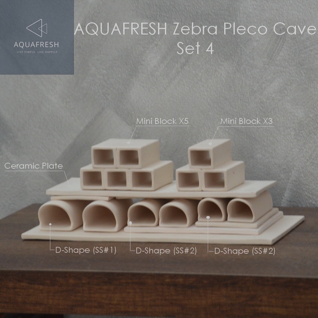[Aquafresh] Pleco Breeding Set 4 สำหรับเพาะ Zebra Pleco (L046) หรือปลาซักเกอร์ขนาด 2-3 นิ้ว