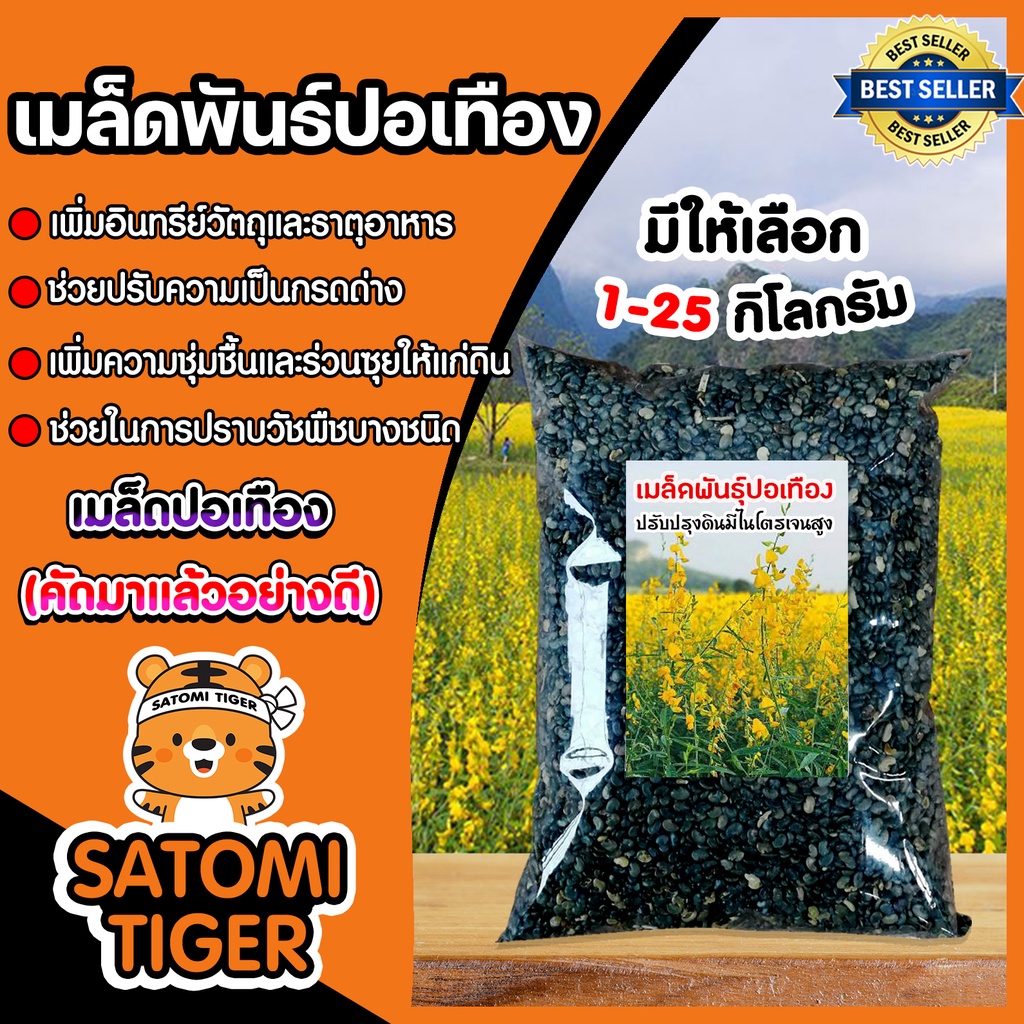 เมล็ดปอเทือง  แพ็คละ 1 กิโลกรัม ปอเทือง พันธ์ปอเทือง เม็ดปอเทือง ดอกปอเทือง ปอเทืองดอกเหลือง ต้นปอเทือง