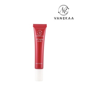 VANEKAA PERFECT EYE CREAM วานีก้า เพอร์เฟค อาย ครีม