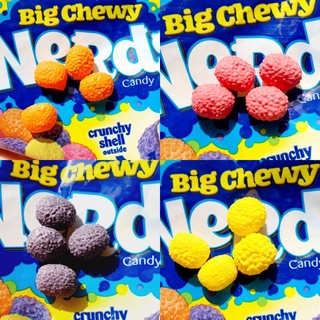 NEW!! แบ่งขายในตลับมีฝาปิด NERDS USA CANDY DINOSAUR CHEWY CRISPY SHELL ขนมเนิร์ดแคนดี้ ไข่ไดโนเสาร์ กรอบนอก นุ่มใน