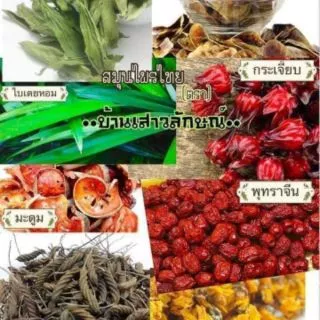 สมุนไพรบ้านเสาวลักษณ์ สมุนไพรพุงยุบ🥬☘