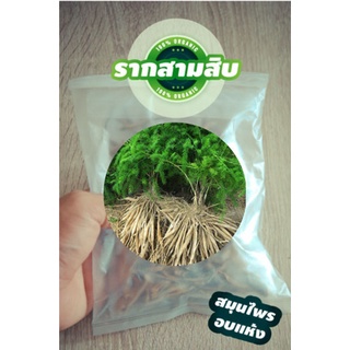 รากสามสิบ !!คัดเกรด!!  อบแห้ง ขนาด 500g