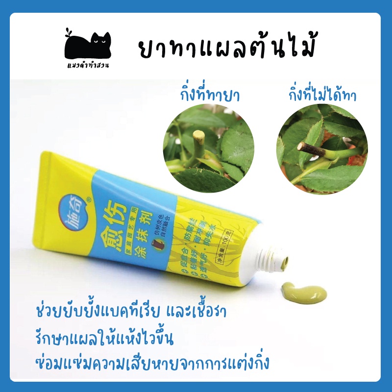ยาทาแผลต้นไม้ ฟรีพู่กัน ขนาด 100 กรัม ป้องกันการติดเชื้อ ผสานแผลได้เร็วขึ้น ใช้ได้กับต้นไม้ทุกชนิด ราคา ถูกที่สุด ดีลบีเคเค แกลเลอรีภาพที่ 2
