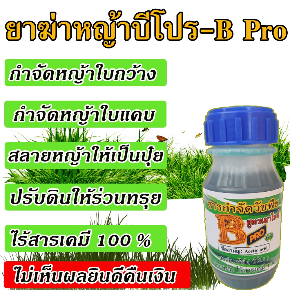My Image 49