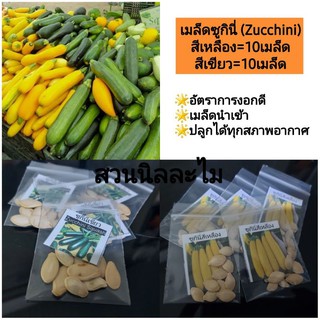 เมล็ดพันธุ์ซูกินี่Zucchini10เมล็ด(มีเก็บเงินปลายทาง)