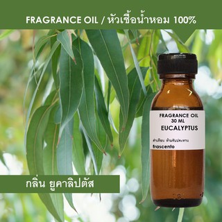 EUCALYPTUS FRAGRANCE OIL - หัวเชื้อน้ำหอม กลิ่นยูคาลิปตัส เข้มข้นสูง ติดทนนาน