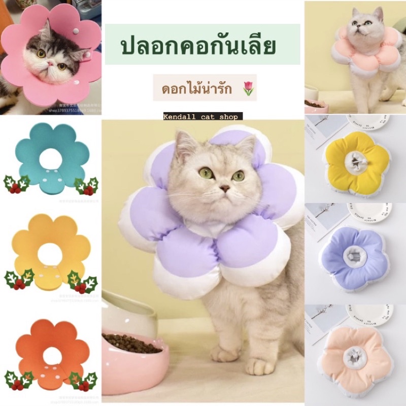 ปลอกคอกันเลีย ดอกไม้พาสเทล