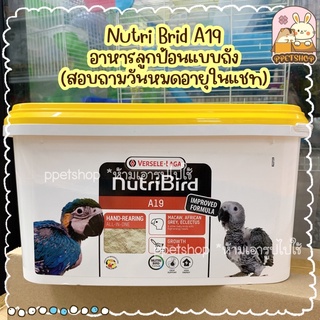 ppetshop - พร้อมส่ง‼️ NutriBrid A19 อาหารลูกป้อนนก แบบถัง 3kg. (สอบถามวันหมดอายุในแชทได้จ้า)