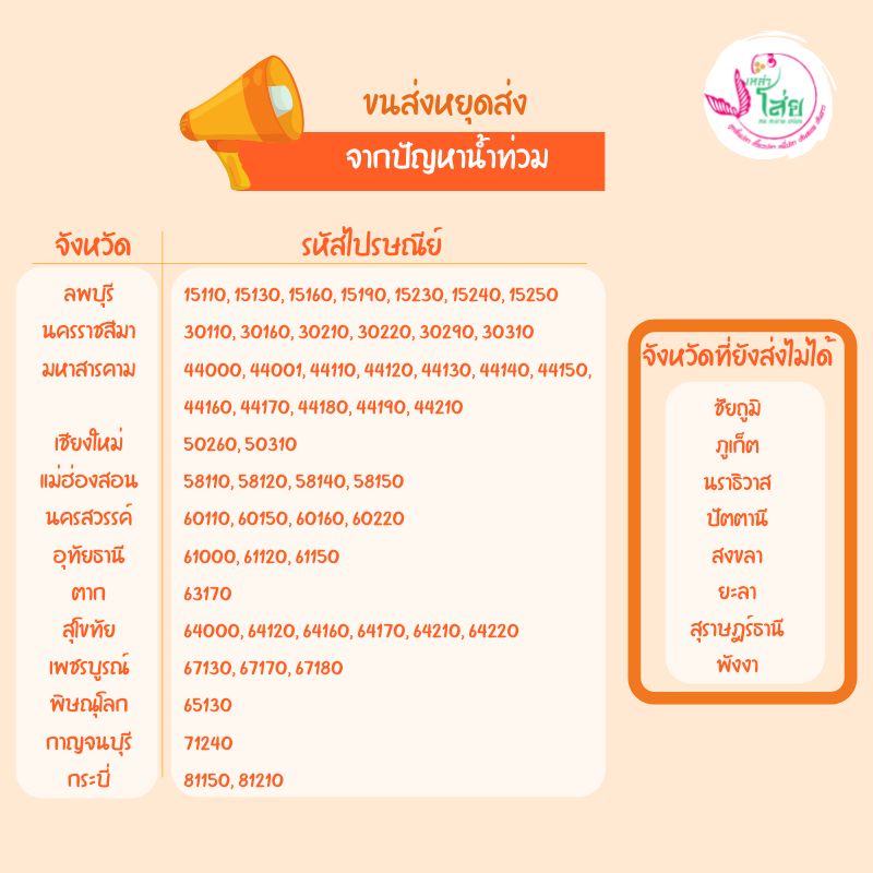 เส้นขาว เส้นขาวเห็ดหอม ฮื่อก้วย เนื้อปลา💯 เด้ง หอม สดใหม่ จากผู้ผลิตลูกชิ้นปลาเยาวราช 70 กว่าปี