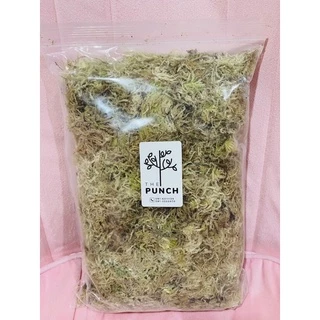 สแฟกนั่มมอส fresh (sphagnummoss) 200 กรัม
