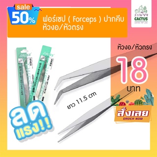 🌵คีมคีบ ที่คีบ เพาะชำ *🔧ผสมเกสรต้นไม้  ฟอร์เซป ( Forceps ) 🔥ปากคีบ 18 บาท ถูกมากกก มีให้เลือก หัวงอ/หัวตรง