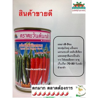 พริกอัมพวาโกลด์ เก็บเขียวได้แดงได้🌶🌶มี2ขนาด