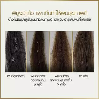Pantene Daily Moisture แพนทีน แชมพู เดลี่มอยซ์เจอร์รีนิววัล 560มล. 2 ขวด p&g ผลิตภัณฑ์ดูแลผม บำรุงผม โปร-วี