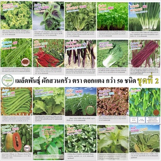 เมล็ดพันธุ์ เมล็ดผัก ชุดที่ 2 ตราดอกแตง - เพื่อนเกษตรกร เมล็…