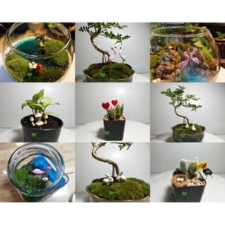 ตุ๊กตาสวนถาด ฟิกเกอร์จิ๋ว ตัวละ 10-12 บาท กดดูในตัวเลือกสินค้า
