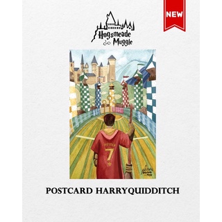 Postcard  Harry Quidditch