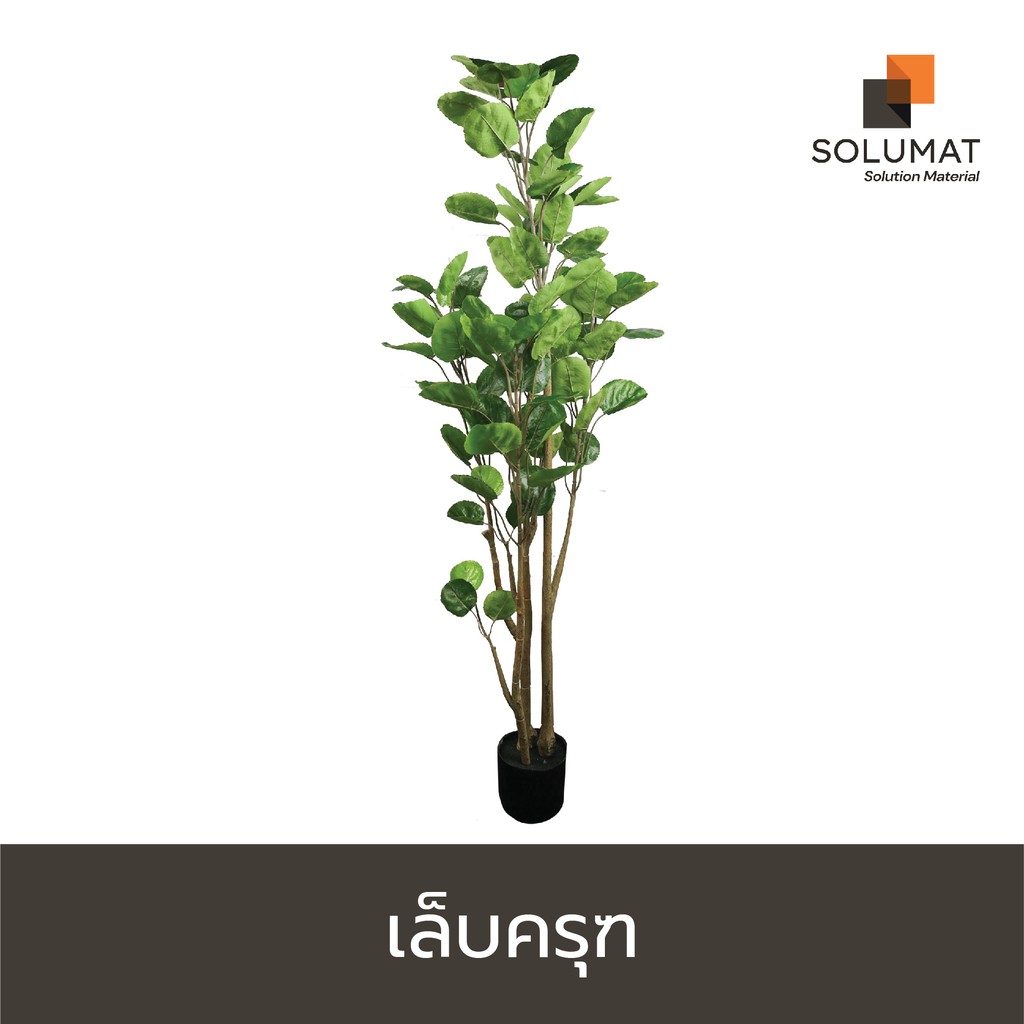 ต้นไม้ปลอม ต้นเล็บครุฑ TR-0040 สูง 160 cm