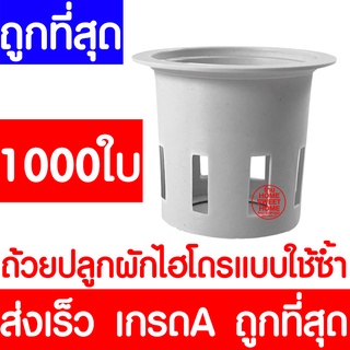 *ส่งไวมาก* ถ้วยปลูกผัก 1000ใบ ถ้วยขาวปลูกผัก ผักไฮโดรโปนิกส์ ผักไฮโดร ไฮโดร hydroponic hydro แบบใช้ซ้ำ ค่าส่งถูก