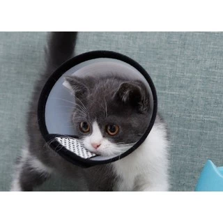 PEKO PET&CAT [คอลล่า002] คอลล่ากันเลียแผล สำหรับสัตว์เลี้ยง ใช้ได้ทั้งแมวและสุนุข คอลล่าพลาสติก