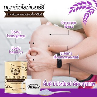 จมูกข้าวกล้องงอก ไรซ์เบอร์รี่ VVIP Riceberry