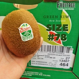 กีวี่เขียว Green KIWI (7ลูก) (NZL/CHN/AUS) ~คัดพิเศษ~ Fruitage Premium fruit กีวี่สดคัด นำเข้า นิวซีแลนด์ จีน ออสเตรเลีย