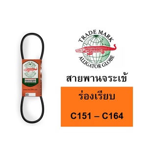 สายพาน จระเข้ลูกโลก C ร่องเรียบ ของแท้ C151 C152 C153 C154 C155 C156 C157 C158 C159 C160 C161 C162 C163 C164