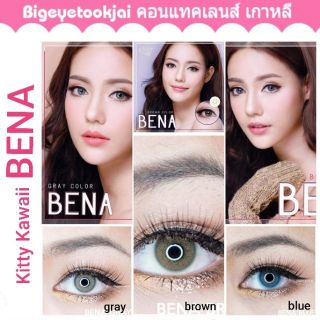 💖 Kitty Kawaii Bena brown gray สายตา -00 ถึง -1000 Contactlens คอนแทคเลนส์