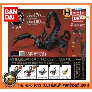 ( จำหน่ายเป็นชุด ) Gashapon 500Y Dango Mushi Scorpion