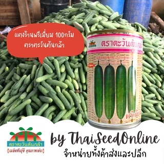 ADV โฉมใหม่ 100กรัม เมล็ดพันธุ์ แตงร้านพรีเมี่ยม 100 กรัม ตราตะวันต้นกล้า Cucumber F1