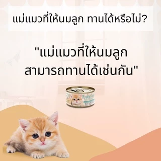 ChooChoo Baby Cat ชูชู เบบี้ อาหารเสริมซุปบำรุงสูตรลูกแมว แพ็ค 6 กป ขนาด 80 กรัม Choo Choo (สำหรับลูกแมวอายุ 1-3 เดือน)