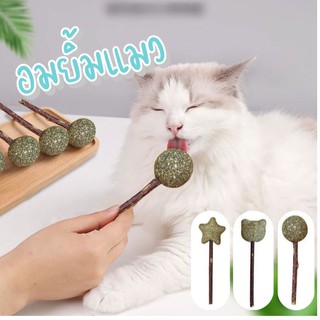 Catnip อมยิ้มแมว ขนมแมว หญ้าแมว สมุนไพรแมว