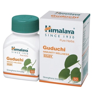 Himalaya Guduchi สมุนไพรช่วยเสริมภูมิคุ้มกันร่างกายให้แข็งแรง