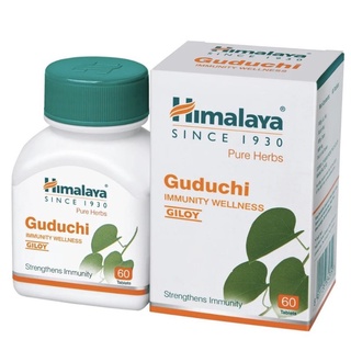 Himalaya Guduchi สมุนไพรสร้างภูมิคุ้มกันให้ร่างกาย