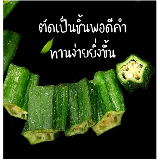 กระเจี๊ยบเขียวอบกรอบ ตัดท่อนทานง่าย "PONDOออแกนิคอบกรอบ" ไม่ใช้น้ำมัน กรอบอร่อย ไม่หืน ไม่อ้วน ผักอบกรอบ